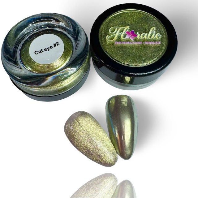 Poudre Chrome Cat Eye #2 – Effet Magnétique & Chromé